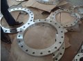  MP35N Forged Flanges