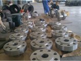 <strong>Incoloy 800 Forged Flanges</strong>