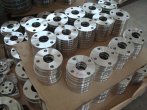 Stainless Steel Forged Flanges