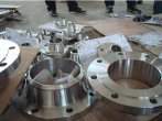 Stainless Steel Forging Flanges