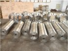  Hastelloy C-2000 Forging Parts