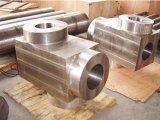  Forging Valve Body