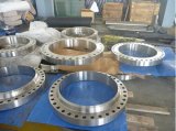 Incoloy 800H Forging Flanges