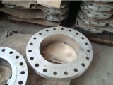 <strong>Incoloy 890 Forged Flanges</strong>